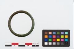 Foto von Bronzering (NHMW-PRAE-024653)